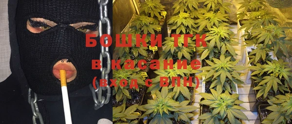 ПСИЛОЦИБИНОВЫЕ ГРИБЫ Киров