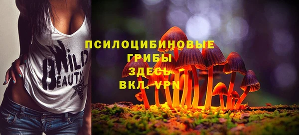 молекула духа Лабытнанги