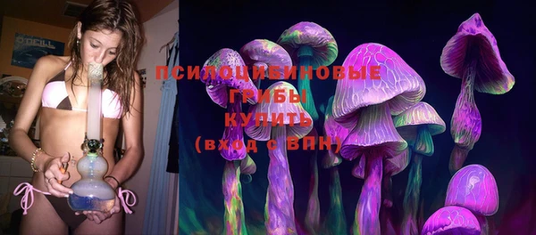молекула духа Лабытнанги