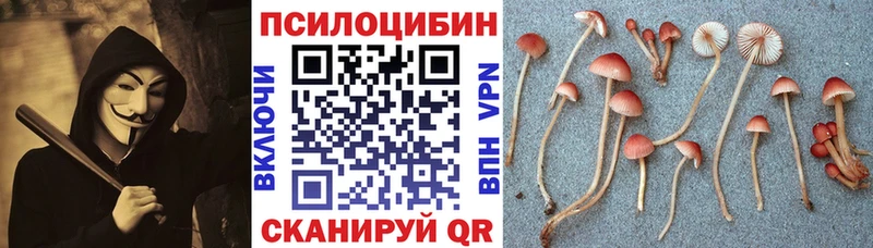 Псилоцибиновые грибы мухоморы  Черногорск 